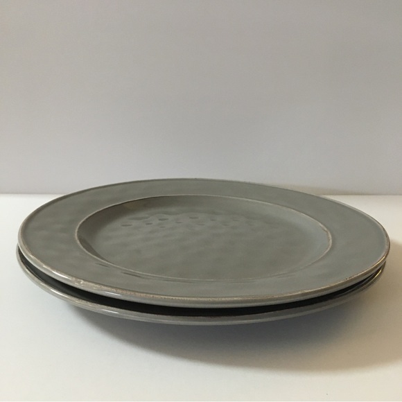 2 Pier 1 Imports Martillo Fog Stoneware Round Dinner Plates - Picture 4 of 16